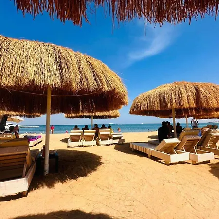 Princess Resort 354